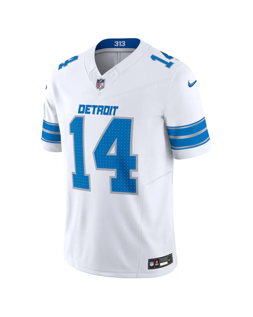 Detroit Lions Visita